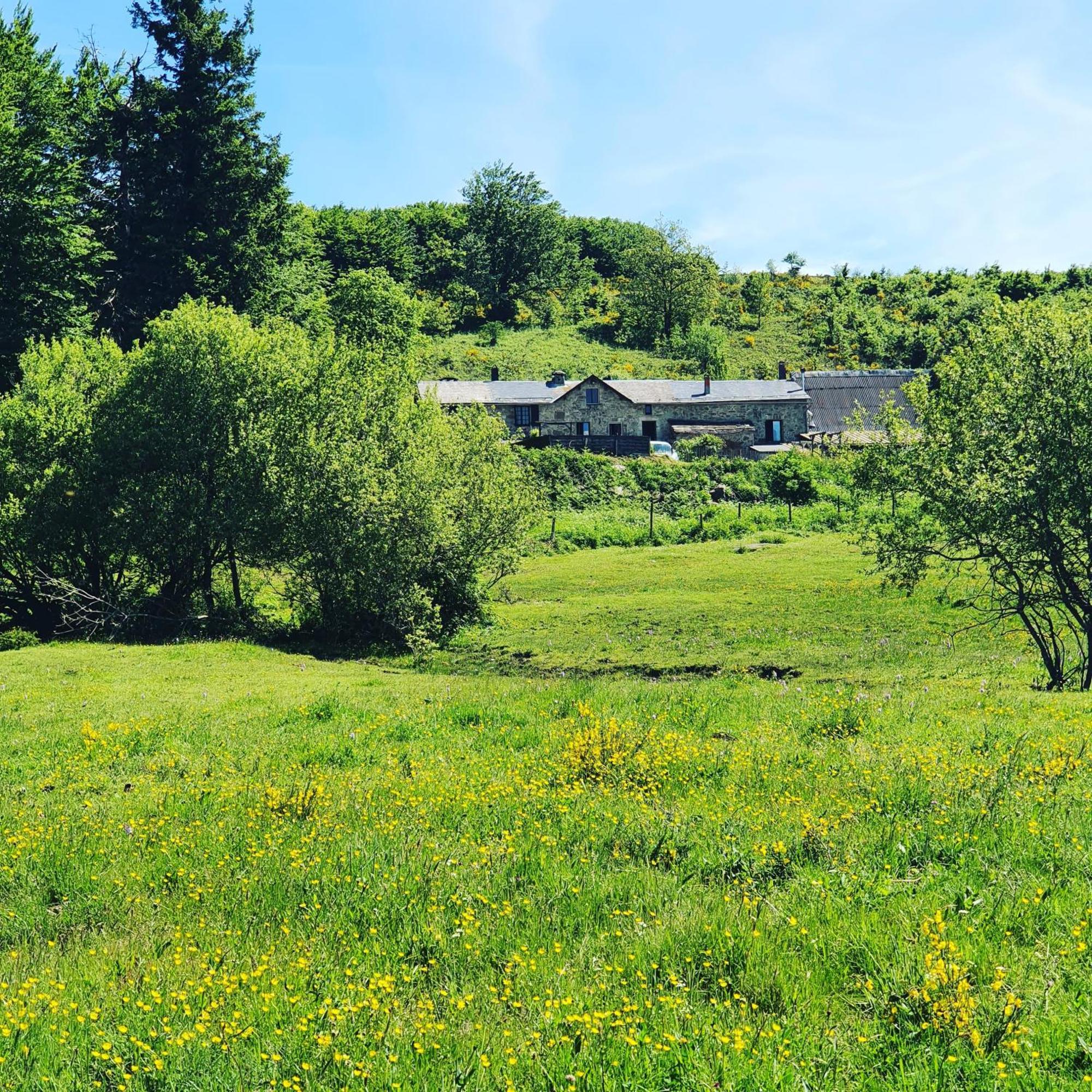 Ranch du Haut-Languedoc La Salvetat-sur-Agout Exterior foto